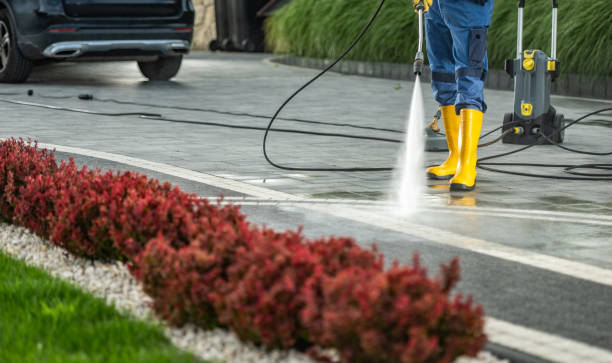 Fence Pressure Washing